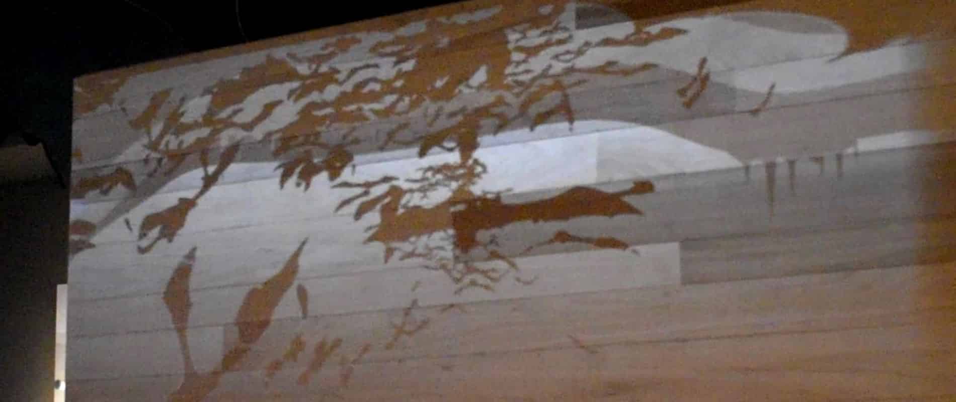 «Ο ενοχλητικός επισκέπτης» στο Σπήλαιο Λιμνών