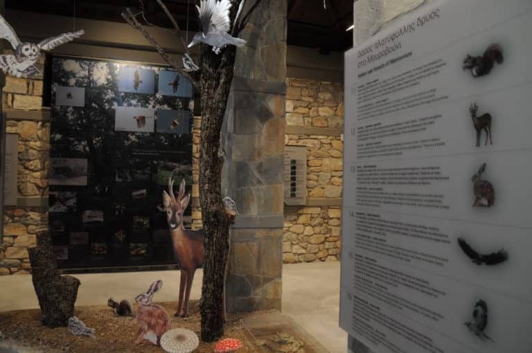 Exhbition Centre of Natural History and Culture of Lake Karla & Mavrovouni