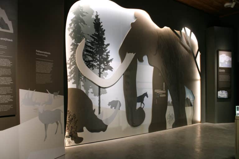 Agitis Cave (Maaras), Information Centre of Paleontological Park