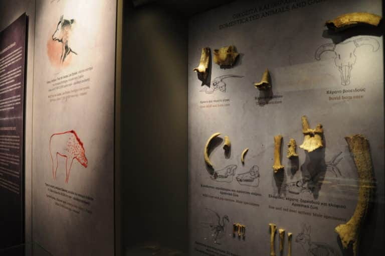 Theopetra Cave, Documentation and Education Centre