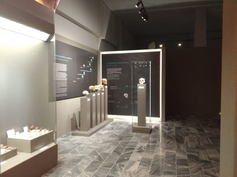 Museum of Petralona Cave