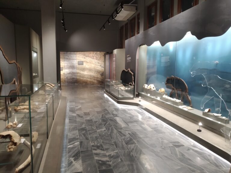 Museum of Petralona Cave