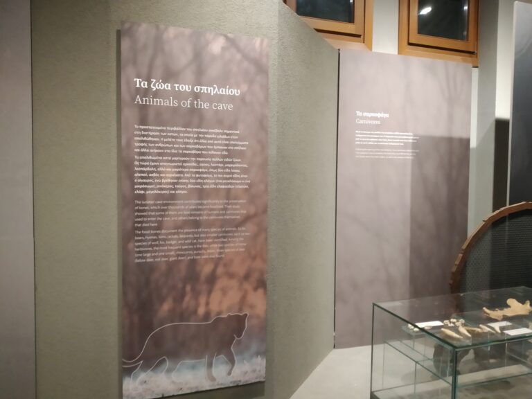 Museum of Petralona Cave